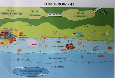 Tomorrow